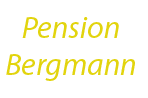 pension-bergmann.info